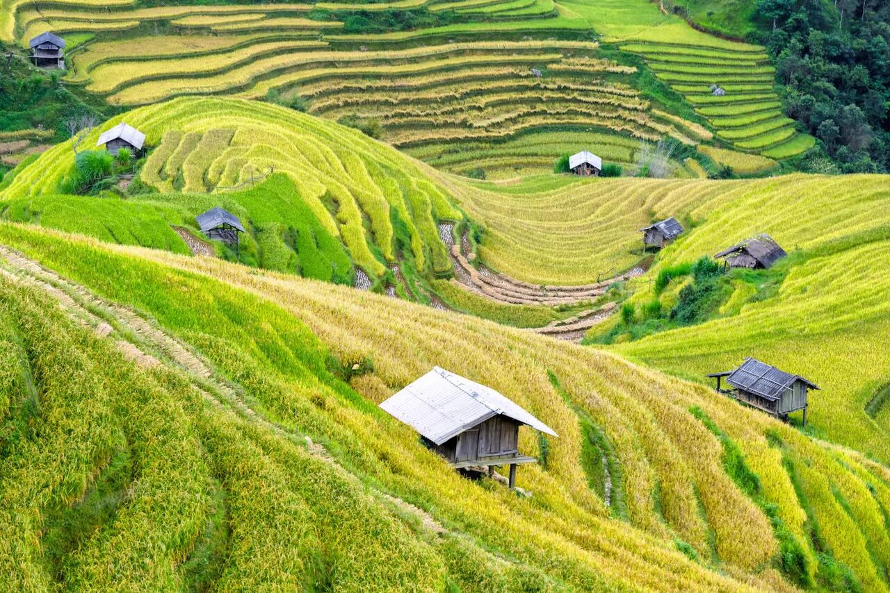 Brisbane, Education, Discover How To Teach English In Vietnam