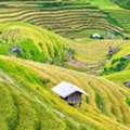 Discover How To Teach English In Vietnam