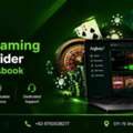 Custom Casino Game Development Solutions By Aqbay