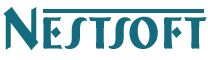 Dubai, Marketing, Nestsoft - Digital Marketing & Web Development Services In Dubai