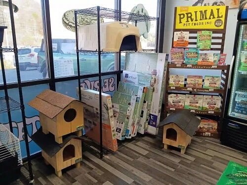 Tbilisi, Pet Sitting, Big Cat House Tignall For Comfortable Cat Shelter