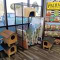 Big Cat House Tignall For Comfortable Cat Shelter