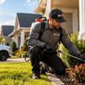 Common Signs That Your Home May Have A Pest Problem