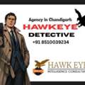 Introducing Hawkeye, Best Detective Agency In Chandigarh Peoples Trusted Choice