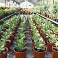 Experiential Learning & World-Class Agri Infrastructure | KIA Coimbatore