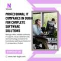 Professional IT Companies In Dubai For Complete Software Solutions