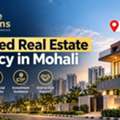INR 40,  4 BR,  125 Sq. Meter,  Trusted Real Estate Agency In Mohali