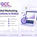AI SEO Service For Government And Public Sector In Dubai