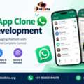 Own Your Messaging Network With WhatsApp Clone App Development
