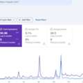 Professional SEO & Digital Marketing Services