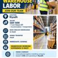 Warehouse Assistant