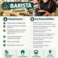 Barista Female
