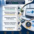 VAT & Financial Statements Accounting Services
