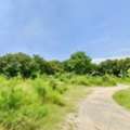 THB 52225000,  6 BR,  2089 Sq. Feet,  ที่ดินเปล่าแปลงสวย ทำเลดี ซอยสยา