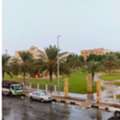 SAR 950/month,  Park Fromt Room For Executive  Bachelor For 3 Months