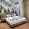 Book Premium Rooms For A Comfortable Stay In Dehradun