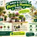 SAR 350,  INDOOR & OUTDOOR PLANTS + DECORATIVE PLANTERS | RIYADH