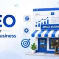 SEO Company For Small Business | Boost Growth With Zigboxx
