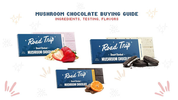 New York, Business, Explore Our Comprehensive Mushroom Chocolate Buying Guide. Discover Top Reviews For Desert