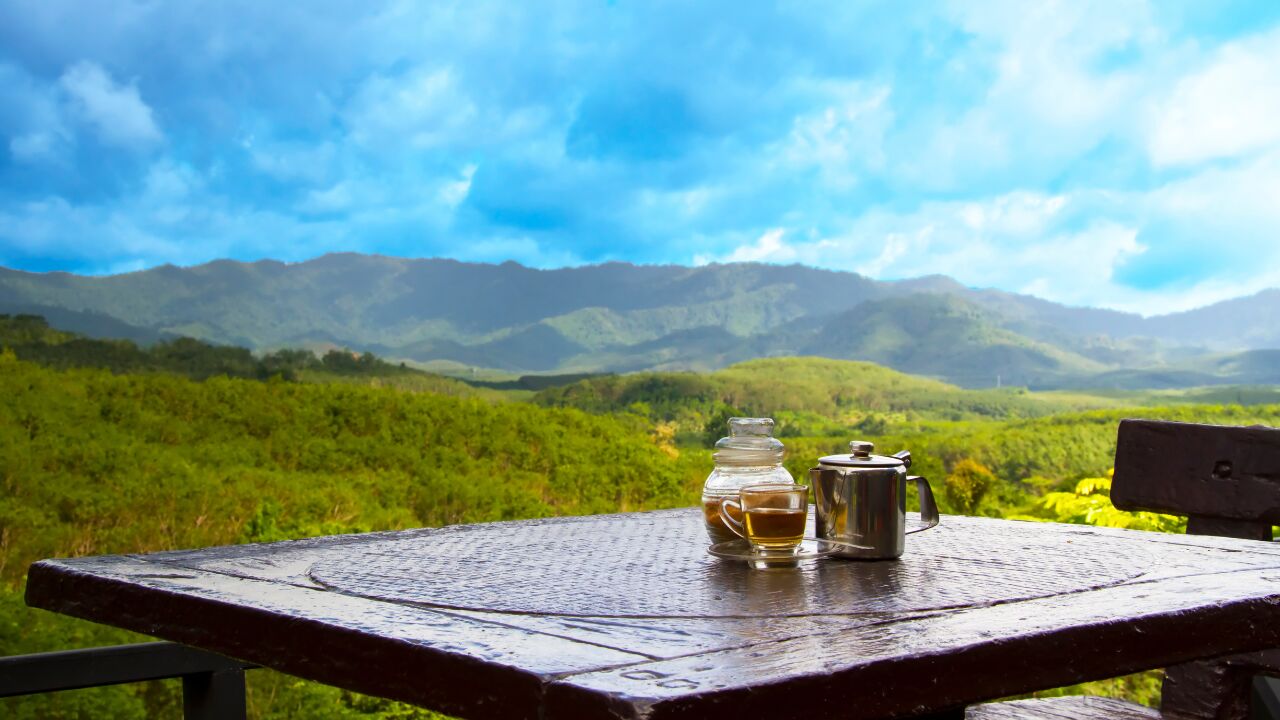 New York, Food, Premium Jamaica Blue Mountain Coffee Beans For Coffee Lovers