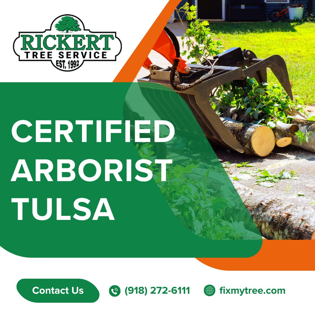 New York, Business, Professional Certified Arborist Services In Tulsa