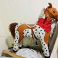 SAR 40,  📢 Kids Horse & Study Table For Sale
