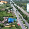 THB 900000,  6 BR,  200 Sq. Feet,  ขายที่ดิน กม.49 ทรายมูล องครักษ์ แปลง A4