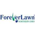 Professional Artificial Grass Installer For Outdoor Spaces