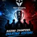 Strategic Investment & Partnership Opportunity &ndash; Modern Cricket Ecosystems (TEZ Sports)