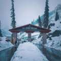 🏔️ MANALI DELIGHTS WITH APPLE COUNTRY