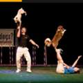 Professional Dogs For Las Vegas Conventions