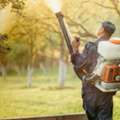 Professional Pest Control Services In Singapore