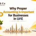 Importance Of Accounting For UAE Businesses