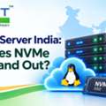 Linux Cloud Server India: What Makes NVMe Hosting Stand Out?