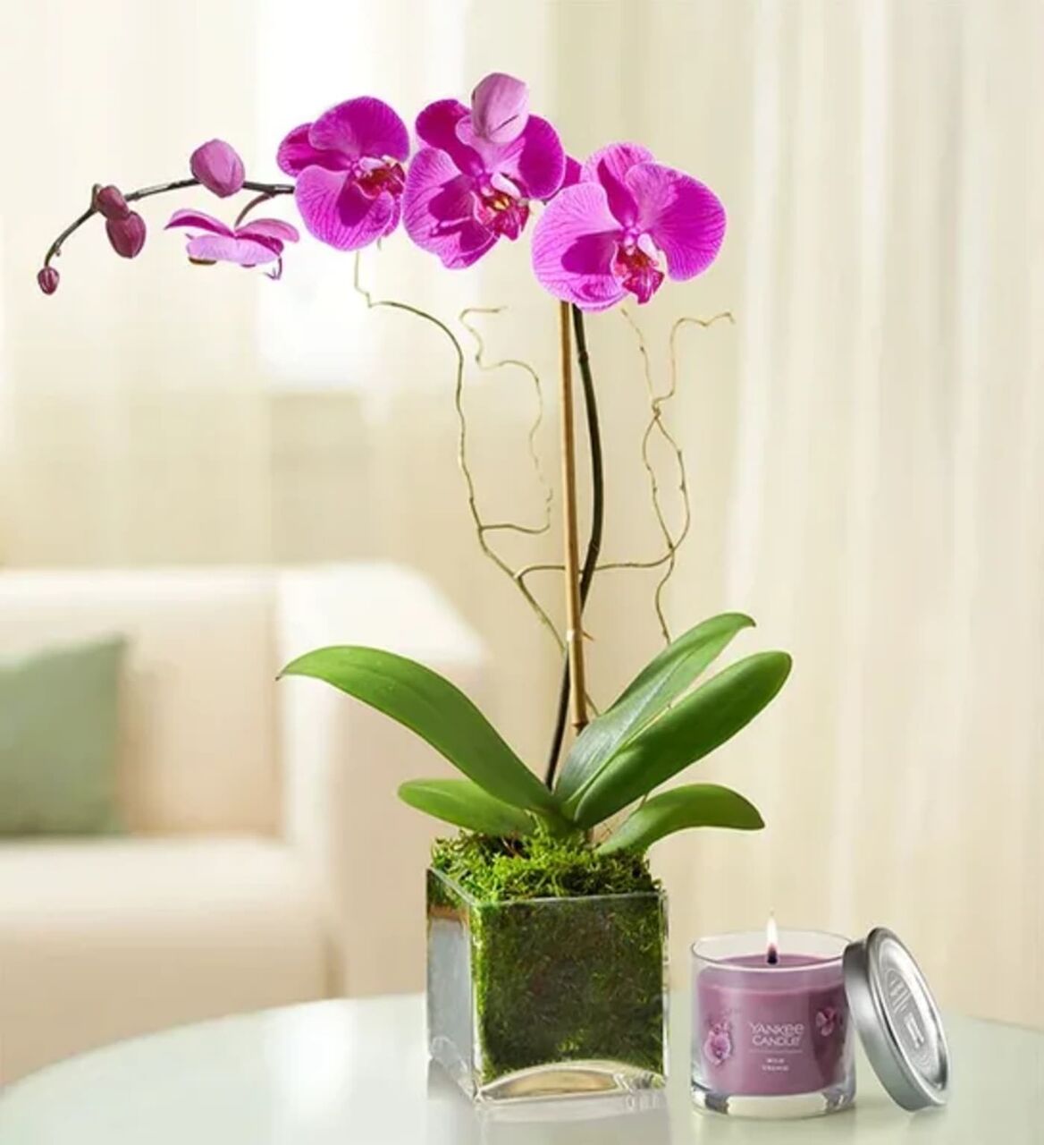 Houston, Florist, Floral Concepts Houston &ndash; Fresh Flowers & Same-Day Flower Delivery