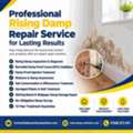 Expert Rising Damp Repair Service For Your Property