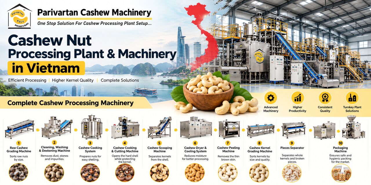 Ho Chi Minh City, Machinery, VND 10,  Cashew Nut Processing Machine Manufacturer, Supplier, And Exporter In Vietnam
