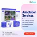 Get AI-Ready Datasets With EnFuse Solutions&rsquo; Accurate Annotation Capabilities