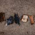 Natural Beef Hide Chews For Happy Dogs