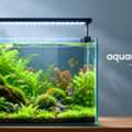 Upgrade Your Aquarium With The Right Aquarium Light