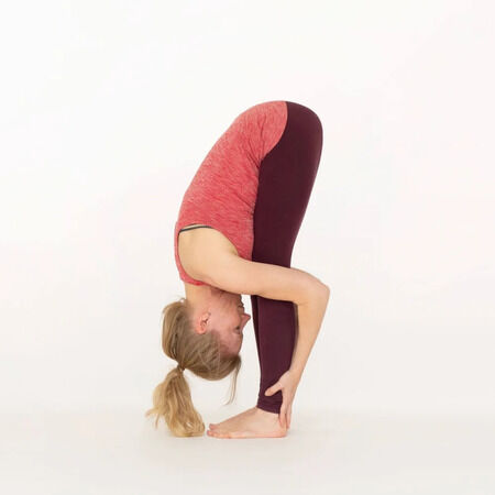 Bangalore, Health, Online 200 Hour Yoga Teacher Training | Yoga Alliance Certified