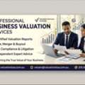 Professional Business Valuation Report | Expert Financial Reports