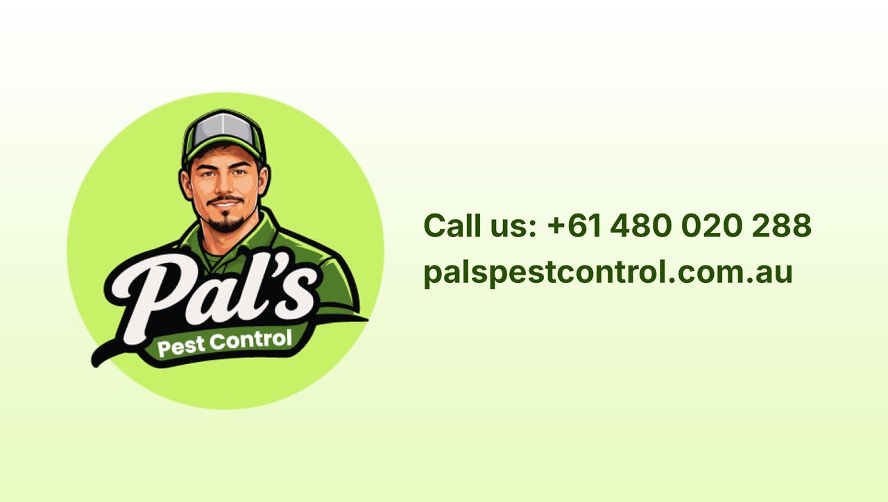 Melbourne, Pest Control, Pal