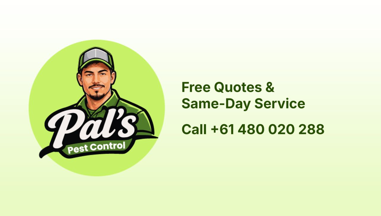 Melbourne, Pest Control, Pal