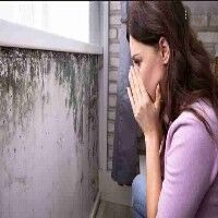 New York, Business, A Focused Check For Mold And Moisture Issues