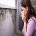 A Focused Check For Mold And Moisture Issues