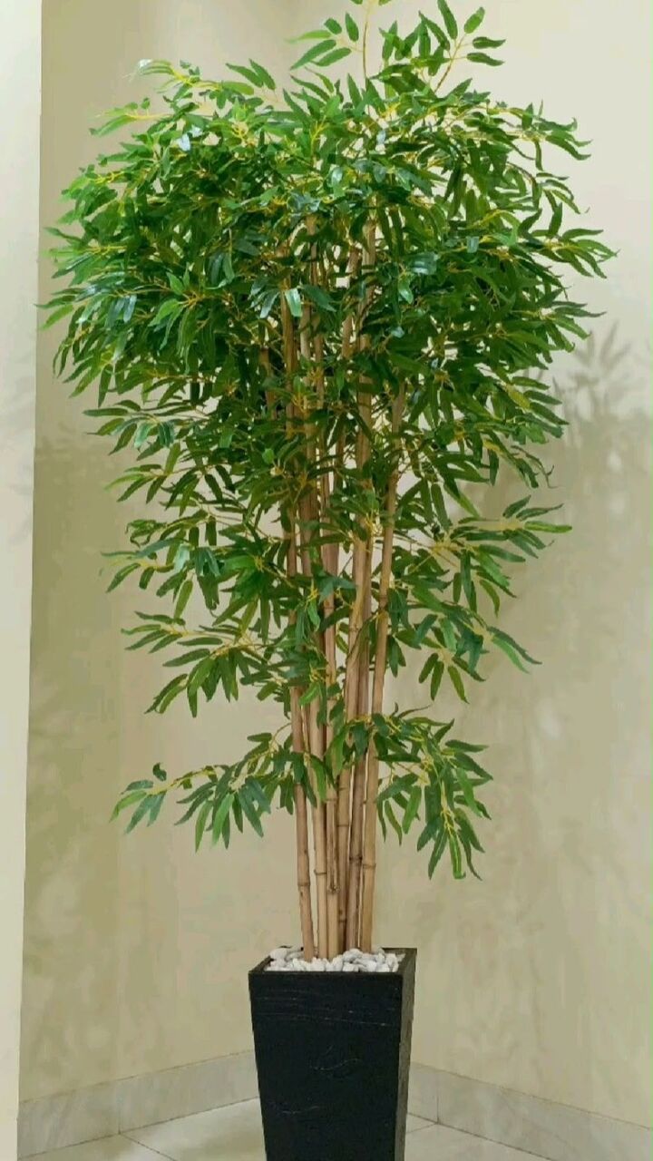 Bangalore, Farm/Garden, Artificial Plants For Hotels & Restaurants | Afloraa