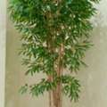 Artificial Plants For Hotels & Restaurants | Afloraa