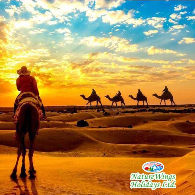 Kolkata, Tickets, INR 52000,  Rajasthan Package Tour For Family Holidays And Group Trips