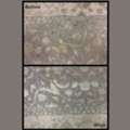 Pet Stain Removal In Chesterfield